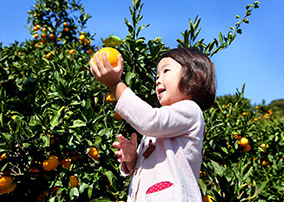 Tsukuihama Tourist Farm