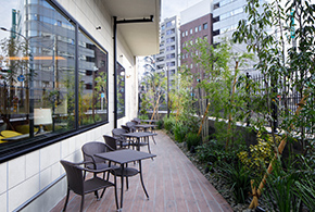 Outdoor Terrace